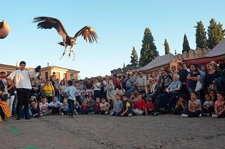 Las exhibiciones de cetrería son uno de los principales atractivos de la Feria Medieval.