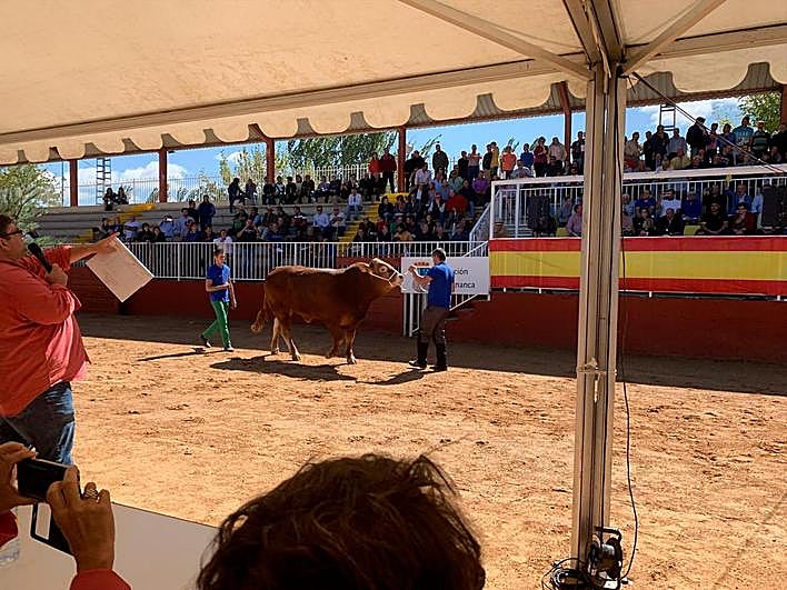 Imagen de la subasta de limusín del pasado año en Salamaq