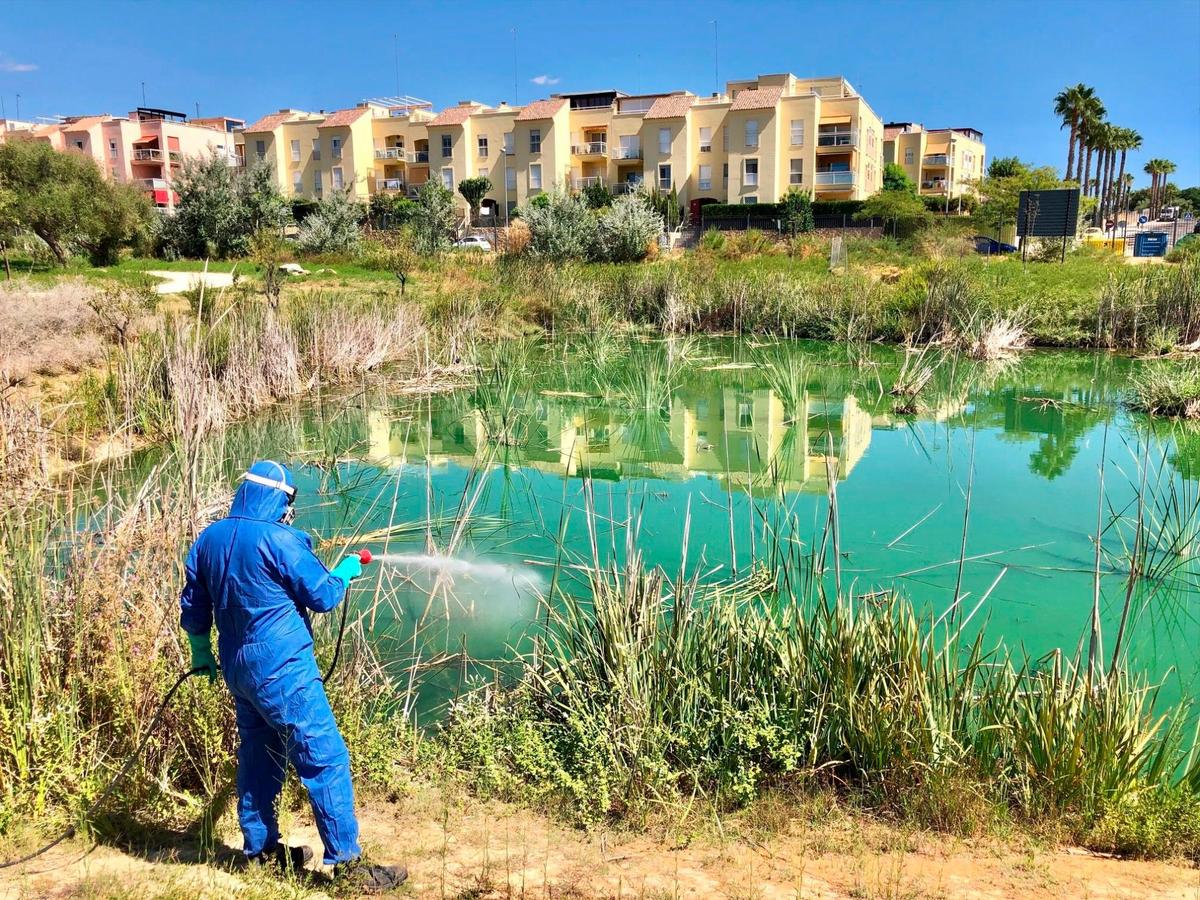 Se están llevando a cabo fumigaciones en zonas conflictivas.