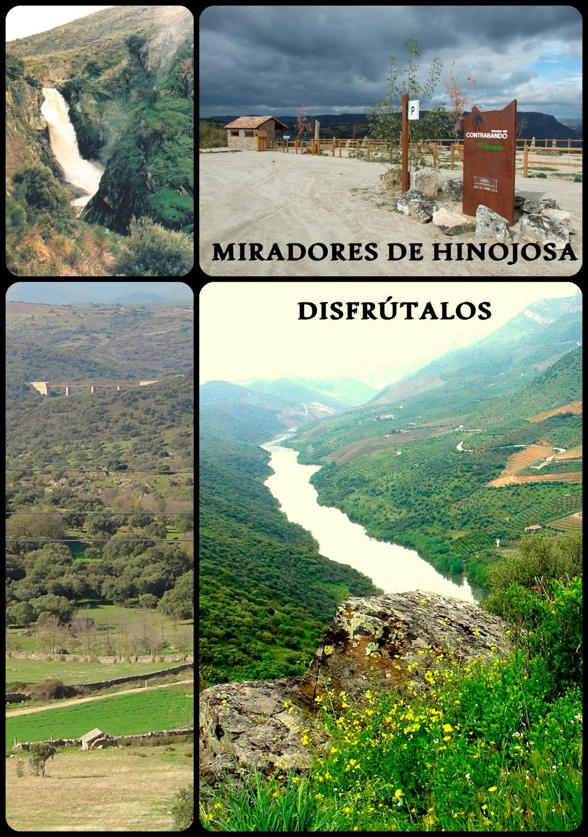 Imágenes del espectacular paisaje que ofrece Hinojosa del Duero.