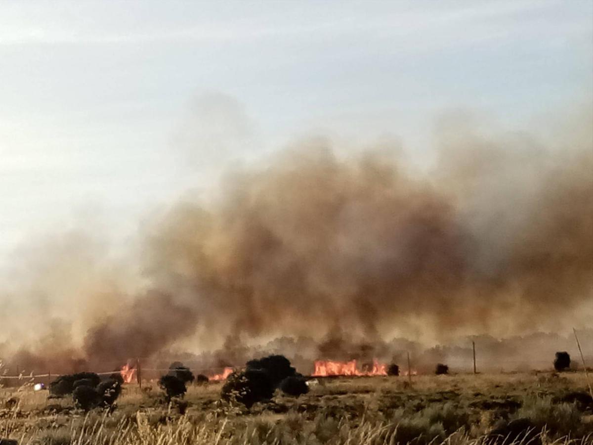 Controlado el incendio en Trabanca, que ha arrasado 10 hectáreas