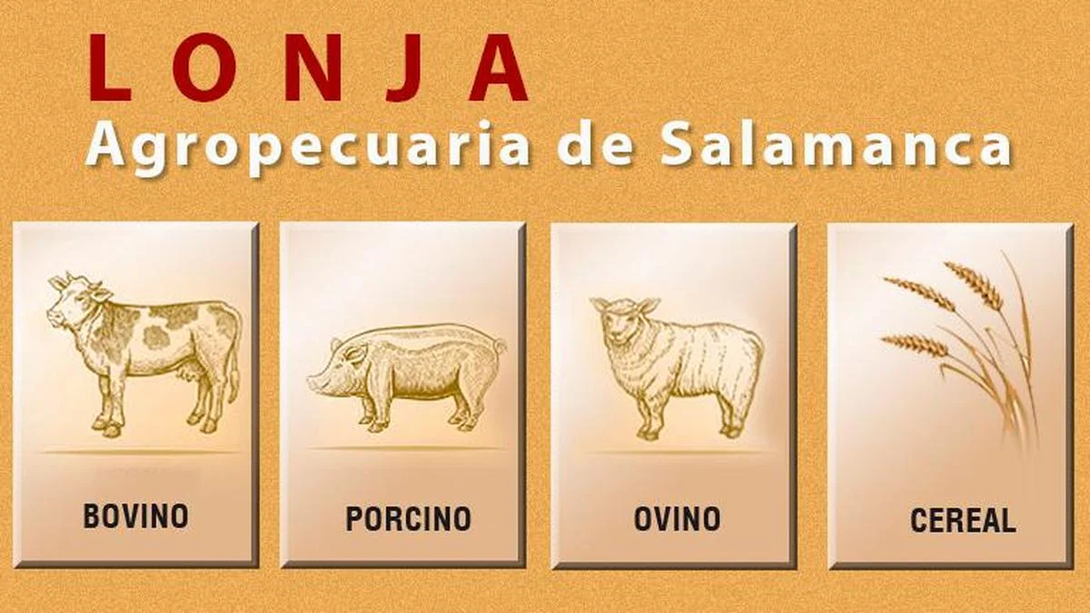 Consulta las cotizaciones de la lonja de Salamanca