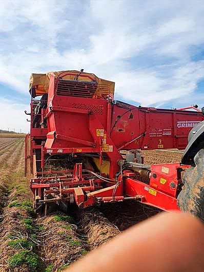 Cosechadora de patatas.