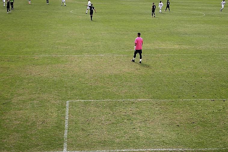 Aspecto del césped del Helmántico.