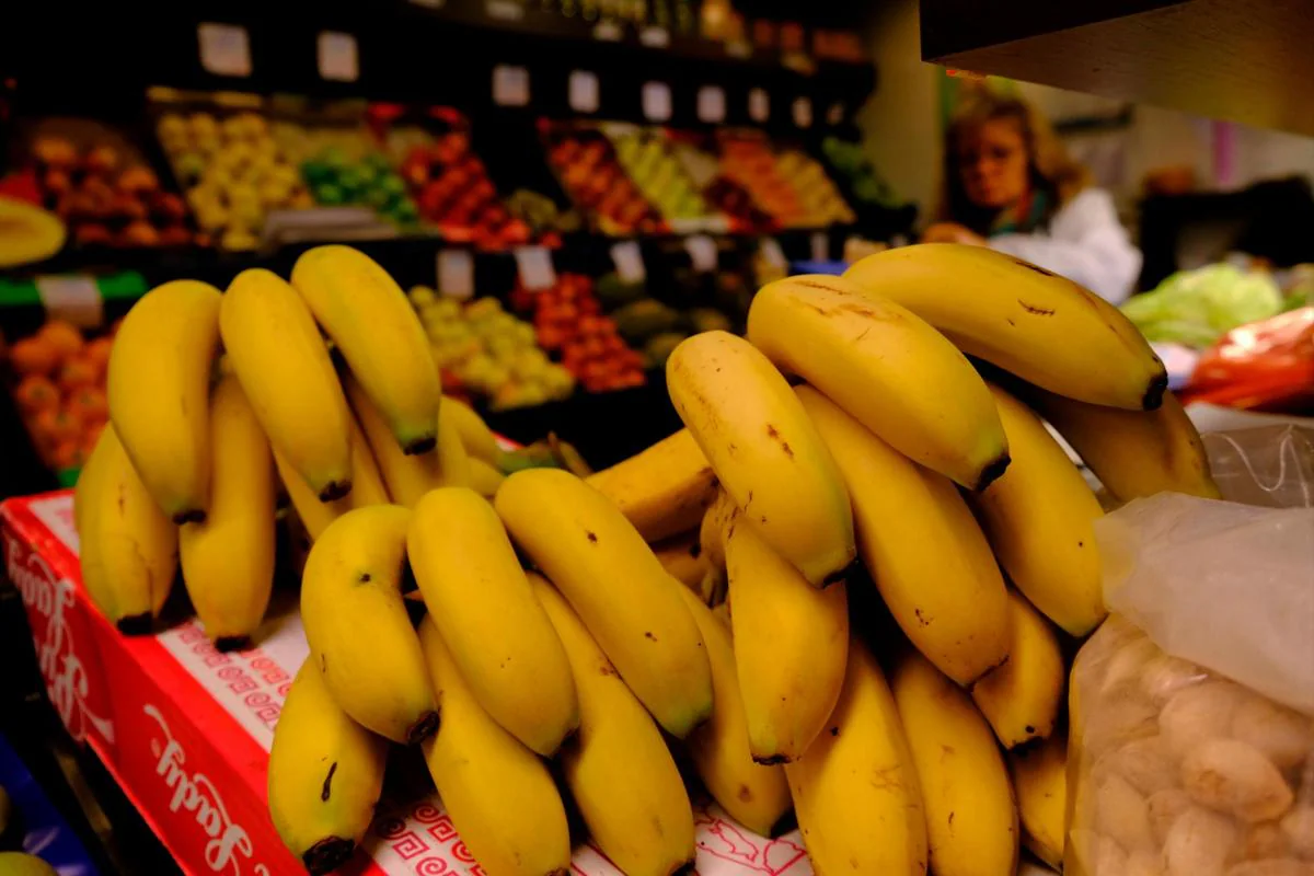 Los plátanos en la sección de frutería del supermercado.