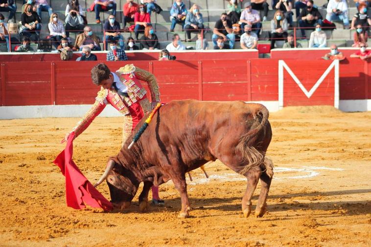 Las mejores imágenes del festejo celebrado en Villoria.