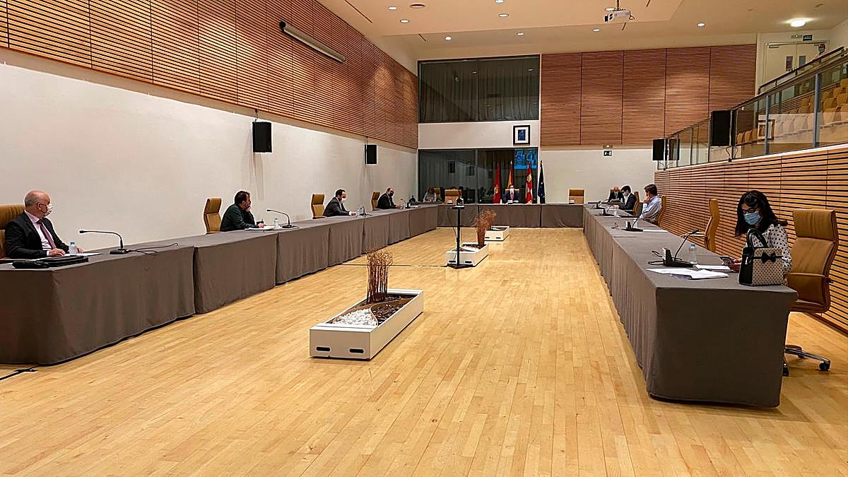 Imagen del pleno de este viernes.