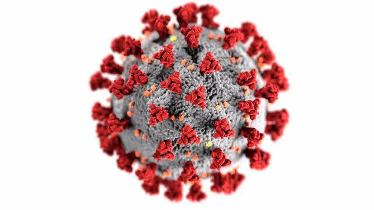 Los anticuerpos contra el coronavirus protegen al menos siete meses, según un estudio