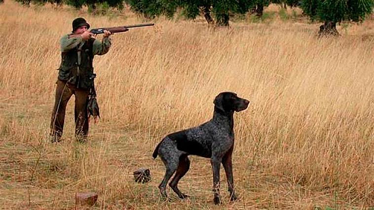 Imagen de un cazador.