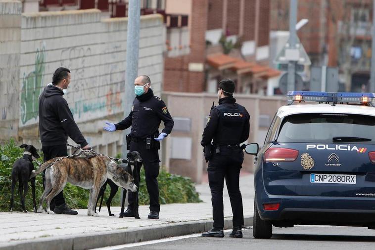 No se puede pasear al perro durante el toque de queda