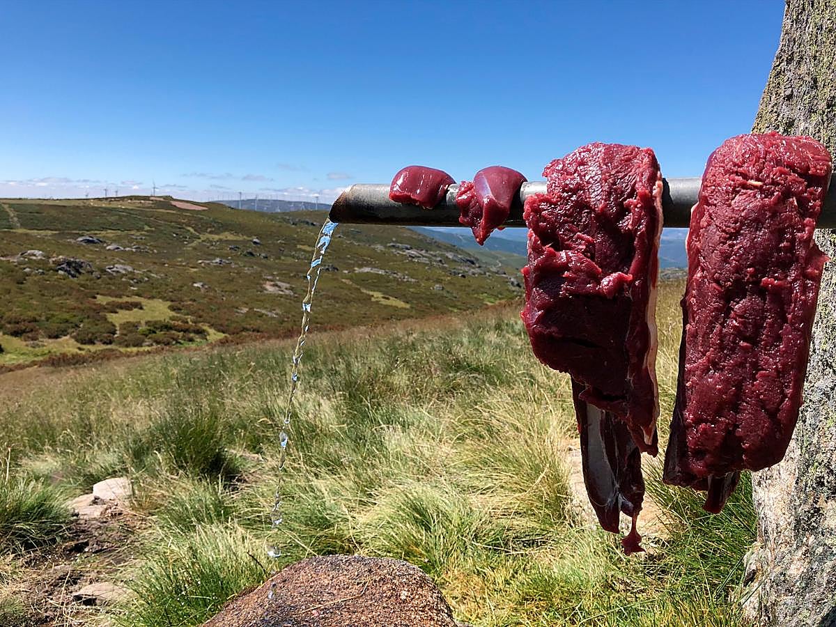 Lomos de corzo limpios tras una jornada de caza