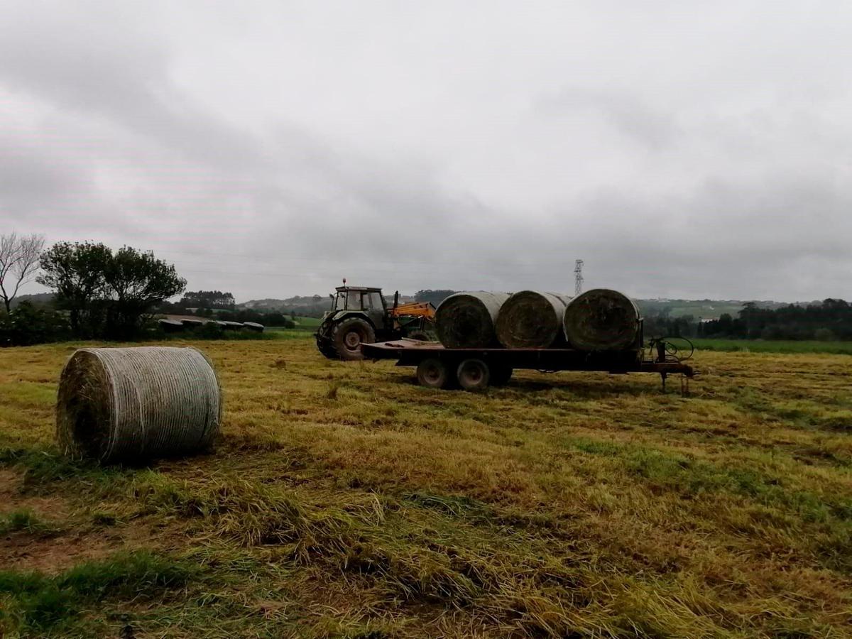 Trabajos en el campo.