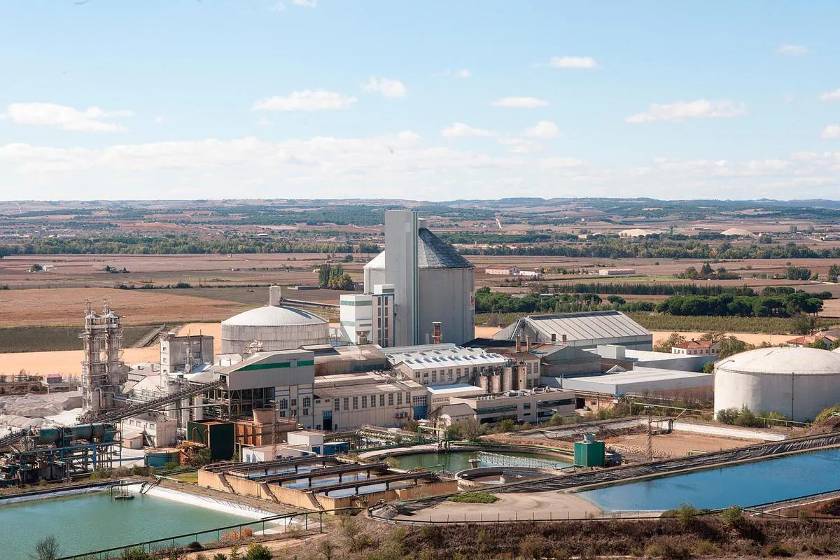La fábrica azucarera de Toro (Zamora) ha recibido en esta campaña 310.000 toneladas de remolacha.