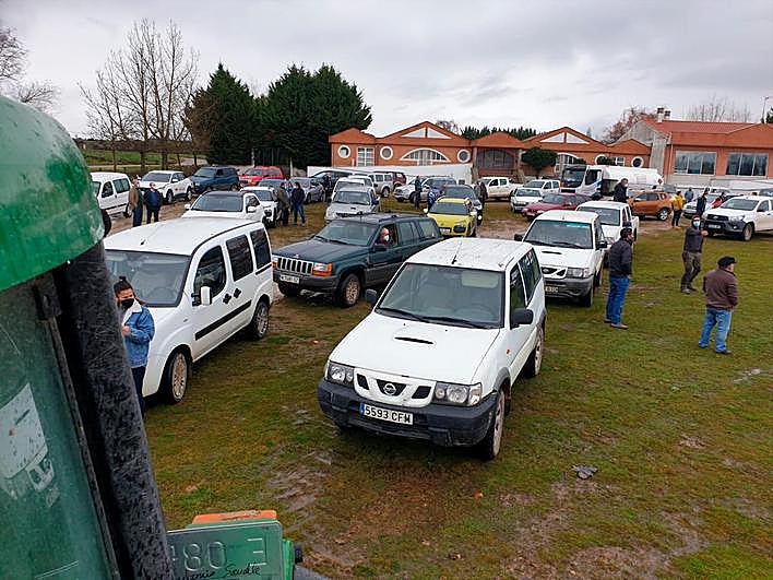 Masiva protesta de los ganaderos del oeste salmantino contra la política de la Junta