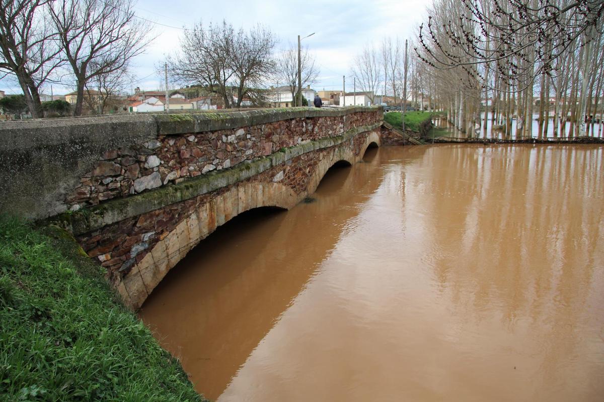 El centenario puente de Golpejas sobre el que el Consistorio pedirá la valoración de su estado.