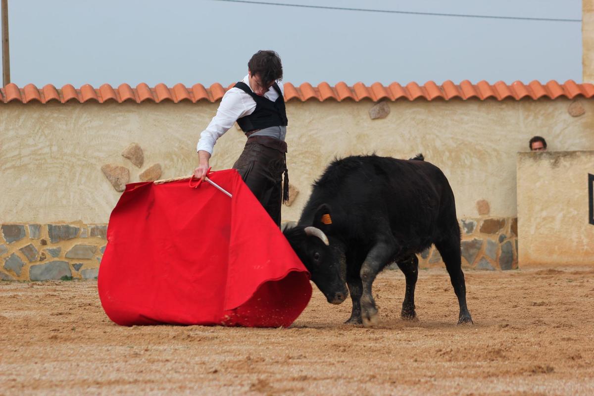 Alejandro Marcos frente a una vaca de Castillejo de Huebra.