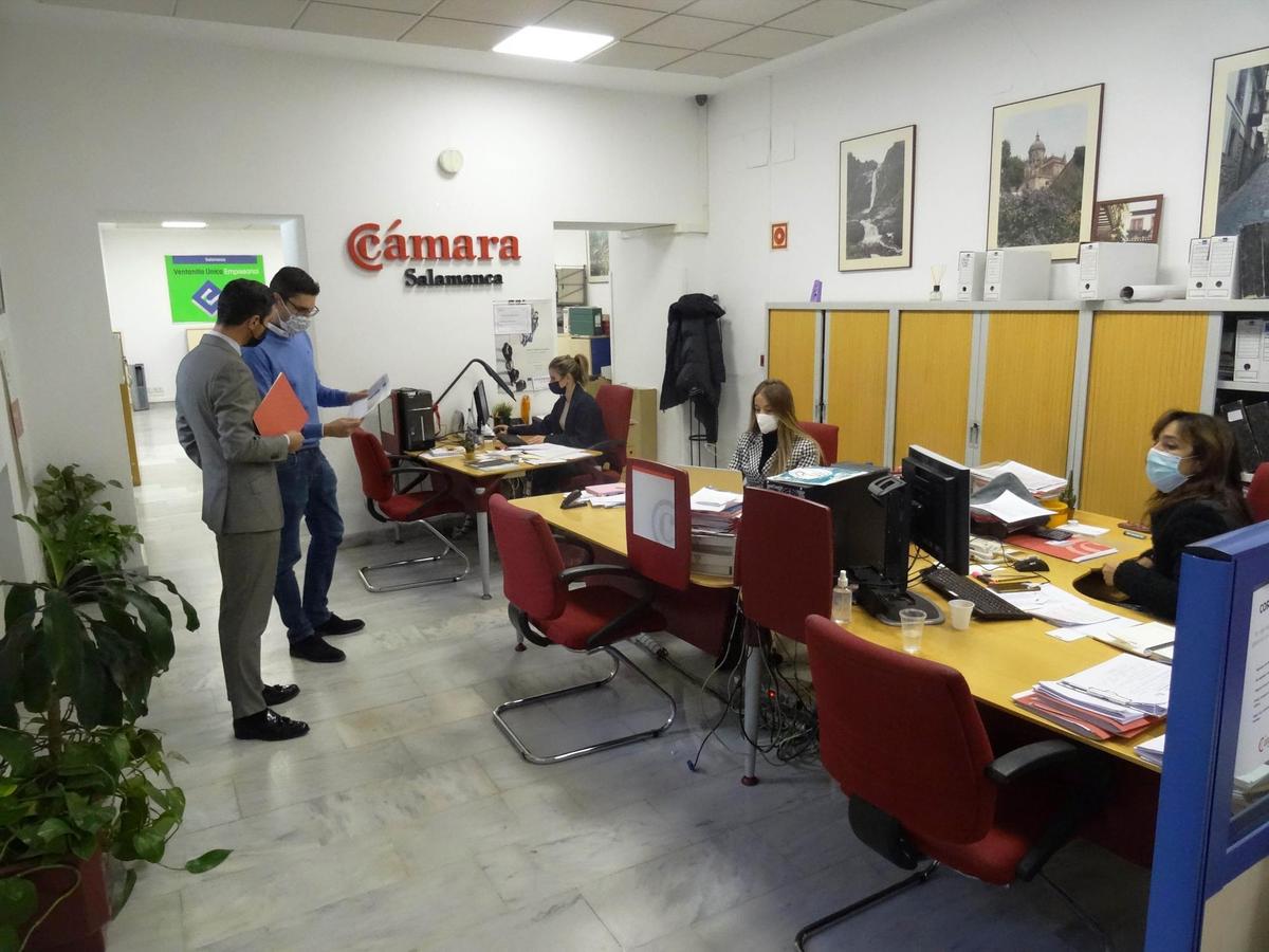 Trabajadores de la plantilla de la Cámara de Comercio de Salamanca.