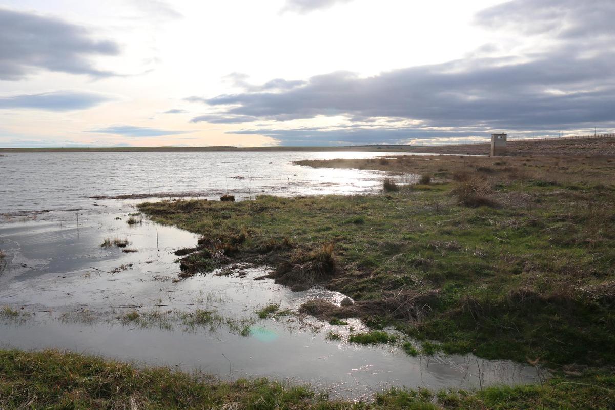 El agua empieza ya a inundar zonas “históricamente” secas en el azud de Riolobos.