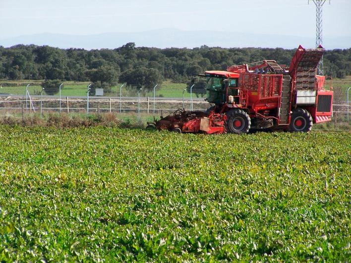 La campaña 2020 no ha terminado; está abierta la fábrica de La Bañeza.