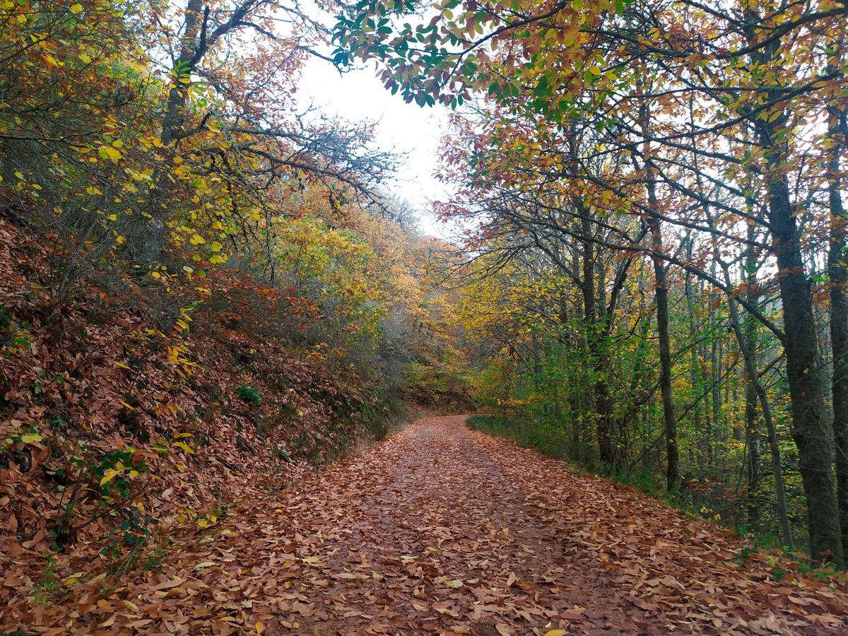 Imagen de uno de los caminos a La Honfría, un lugar para recorrer los 365 días