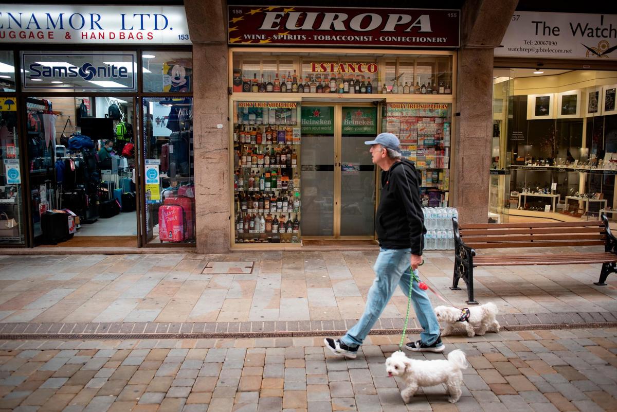 Un hombre pasea con sus mascotas