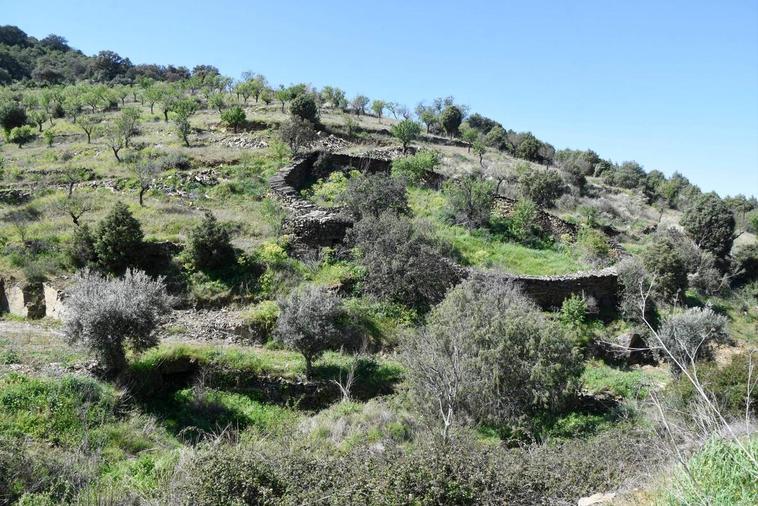 Uno de los chozos próximos a La Fregeneda levantado junto a un corral de ganado realizado en piedra seca.