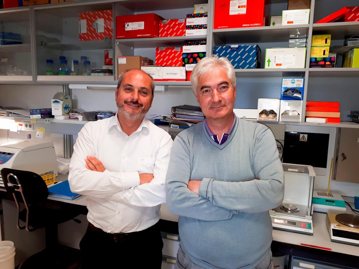 Alberto Ocaña y Atanasio Pandiella, en un laboratorio del Centro de Investigación del Cáncer.