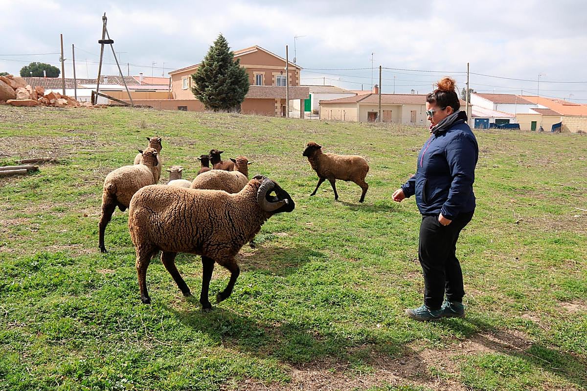 Anabel, con varias de las ovejas de la raza merina negra en peligro de extinción
