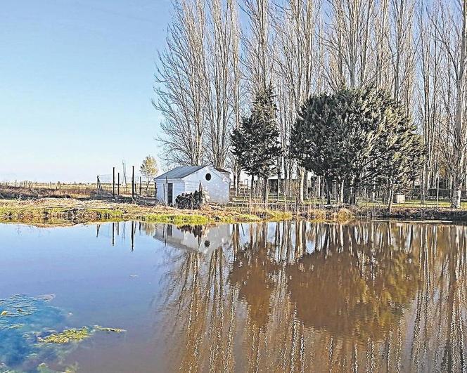 El parque de Barbadillo y el espectacular merendero justo al casco urbano