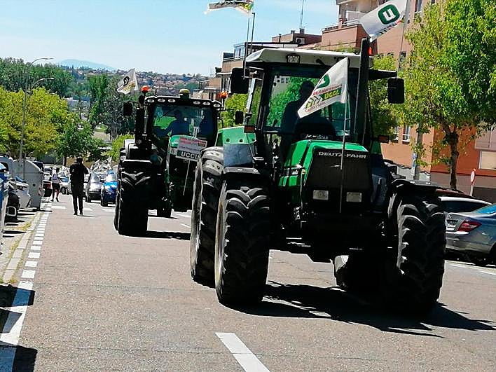 Imágenes de la manifestación.