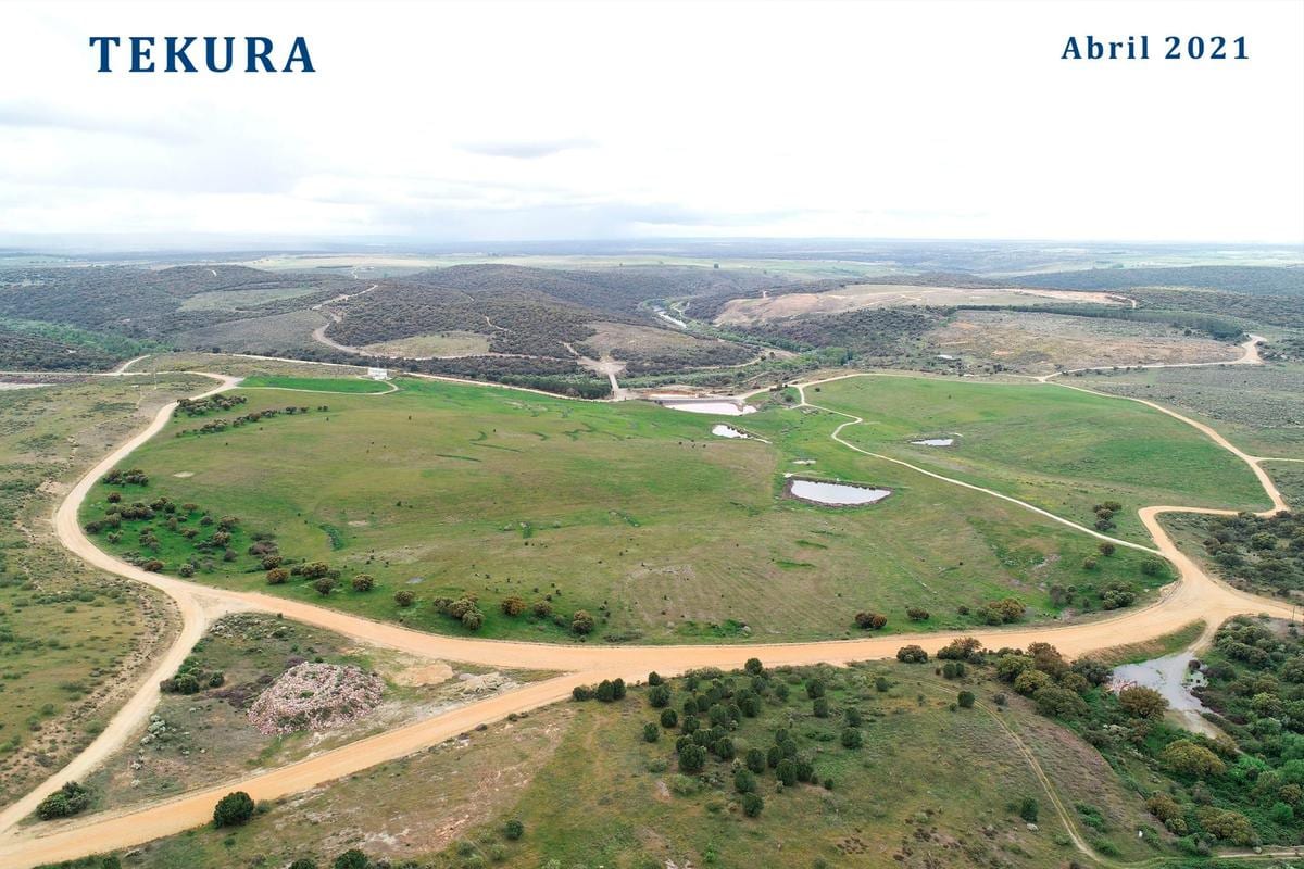 Estado actual del terreno en abril de 2021 en Saelices el Chico gracias al proyecto ‘Tekura’.