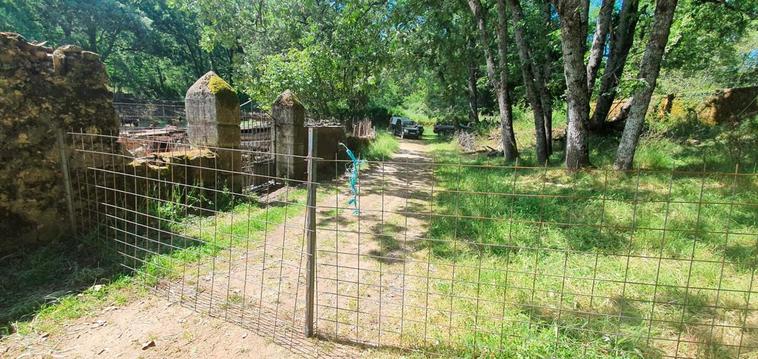 Una valla cierra el acceso a la finca en la que se ubica el cedro centenario en Béjar