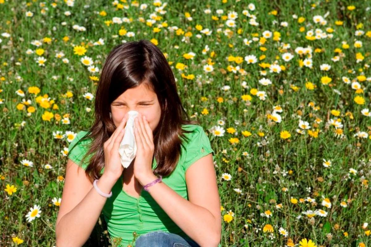 El polen, protagonista en las alergias de verano.