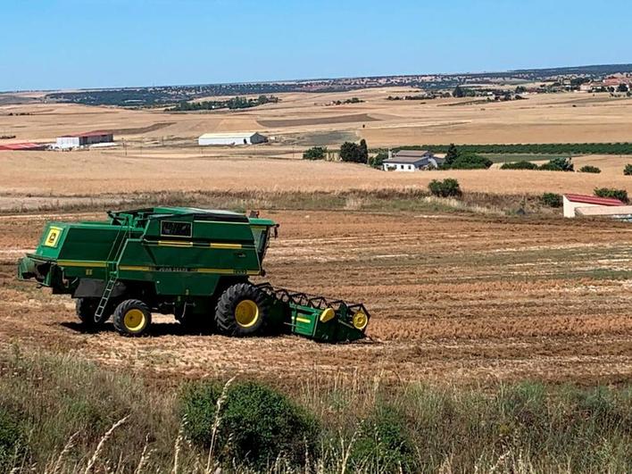 A pesar de la dificultad, la cosechadora logró coger una cantidad importante de lentejas en Monterrubio.