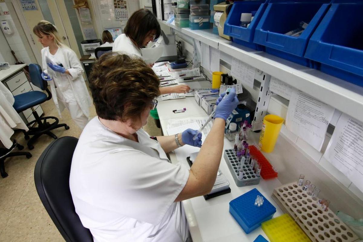 Labor clínica en uno de los laboratorios de Hematología, anterior a la pandemia.