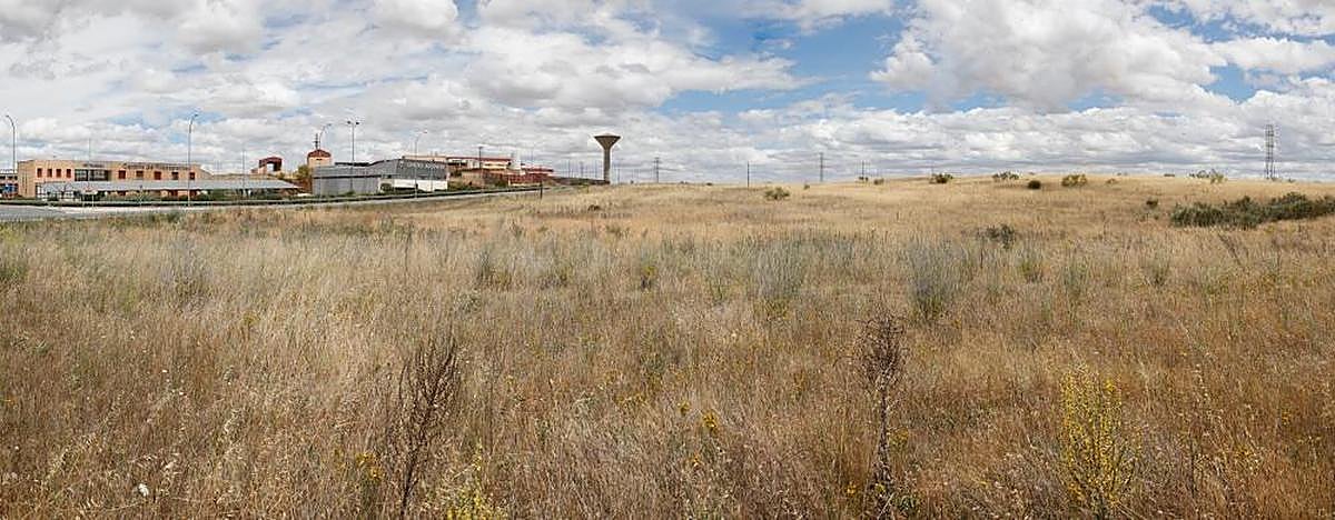 Terrenos donde el Ayuntamiento de Salamanca ampliará el suelo industrial destinado a albergar a más empresas junto al Centro de Transportes.