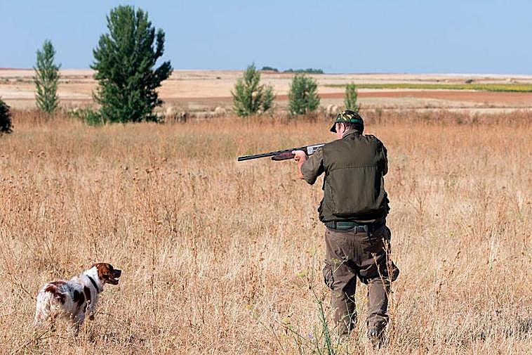 Un cazador en la media veda.