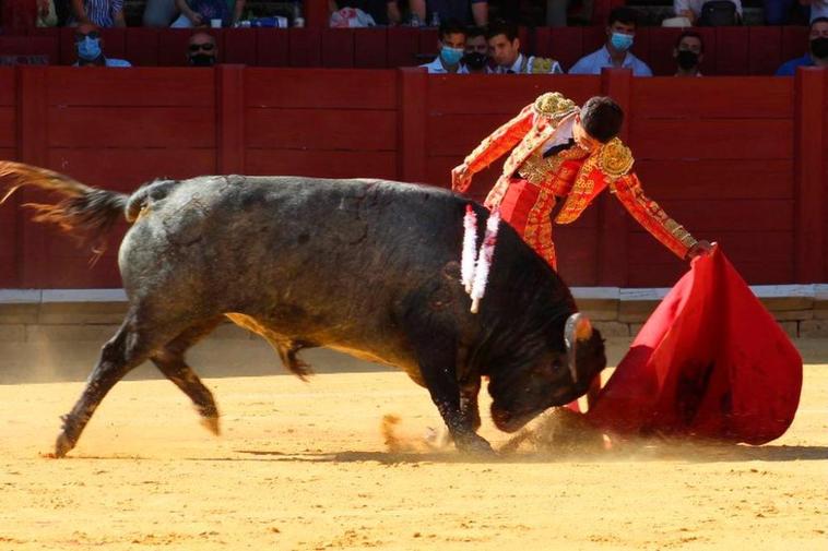 Gran natural de Diosleguarde al novillo de Raso del Portillo.