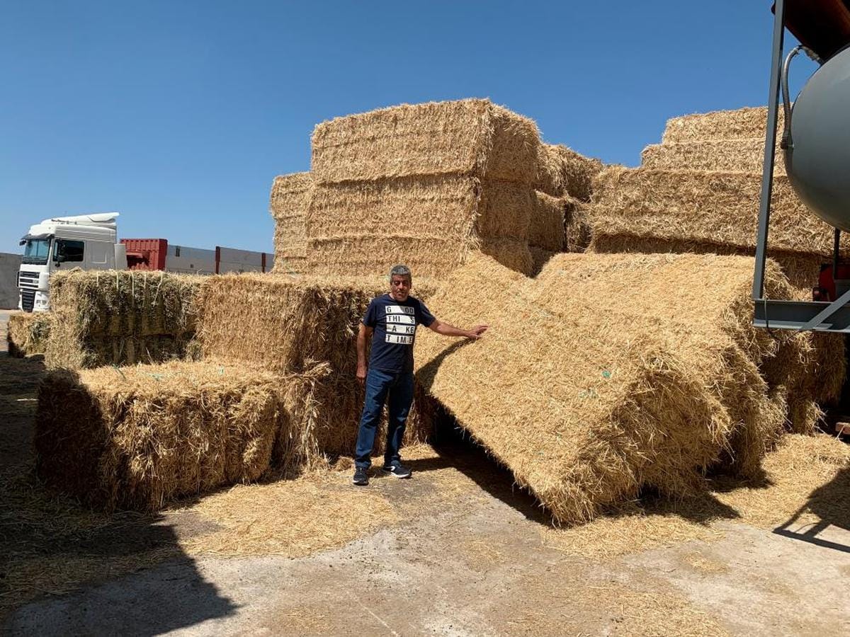 Los agricultores salmantinos no saben qué hacer con la paja | La Gaceta de  Salamanca