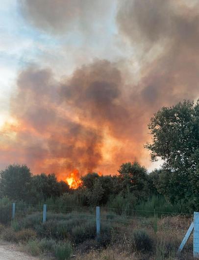 El incendio forestal de Olmedo de Camaces fue intencionado y quemó 1,5 hectáreas