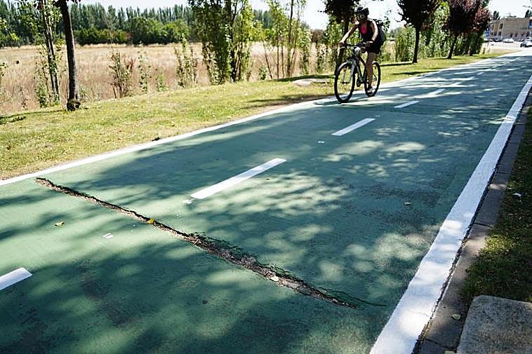 Grietas en la Avenida Padre Ignacio Ellacuría, pasando el Puente de la Universidad.
