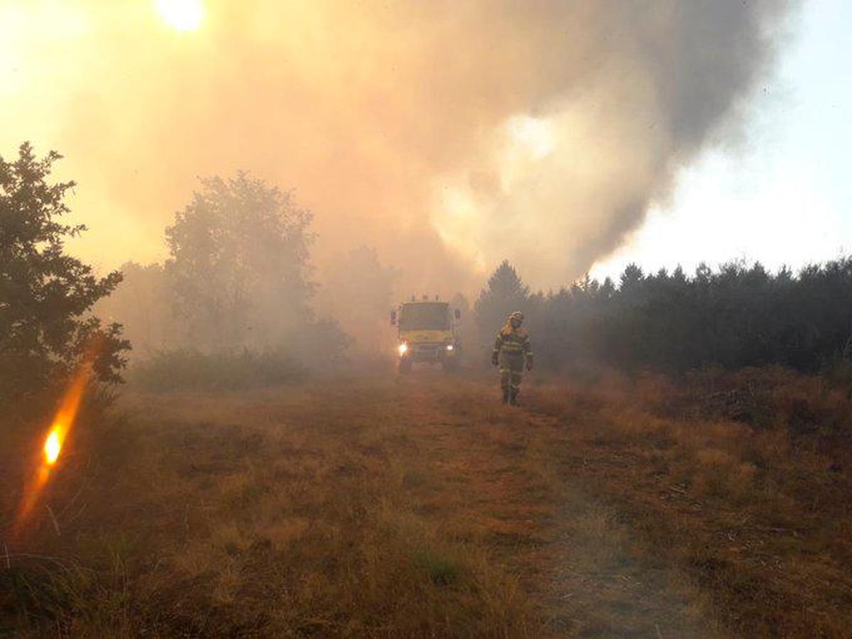 Bomberos forestales sofocando un fuego.