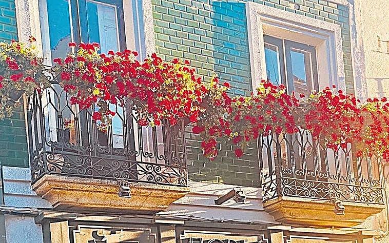 Fachada de la Carnicería Flores, en la calle Pedro Velasco desde hace un siglo.