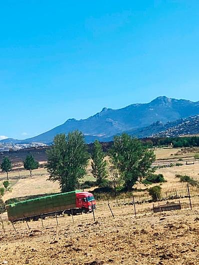 Un camión llevando paja desde Santiago de la Puebla hasta una explotación afectada por el incendido.