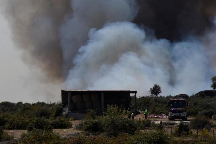 Zona en la que se ha reactivado el incendio.