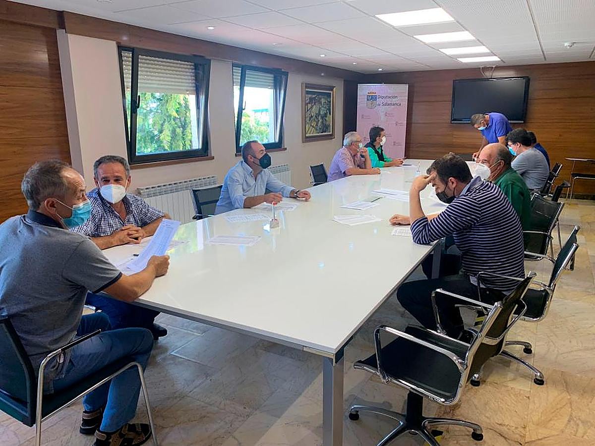 Un momento de la mesa del vacuno de carne