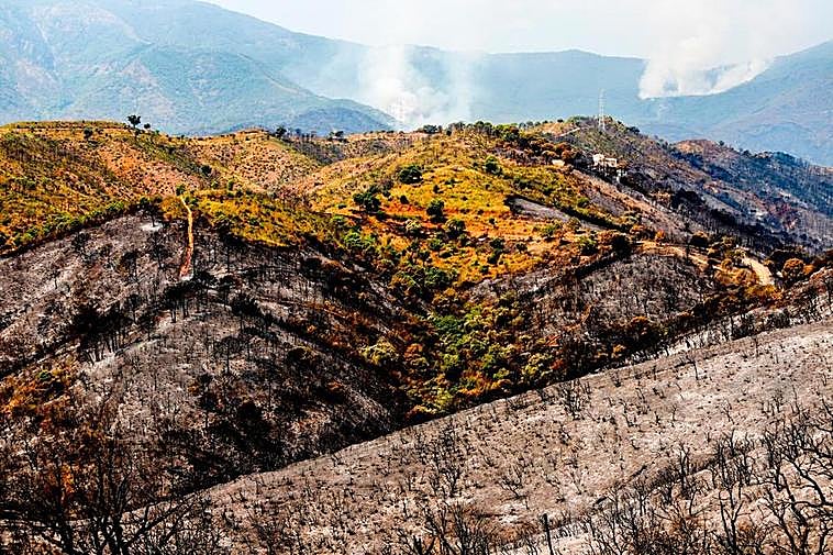 Paisaje calcinado en Sierra Bermeja.