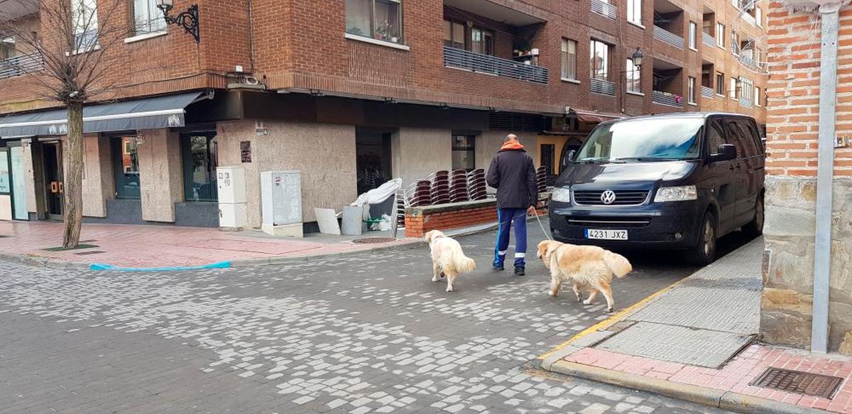 Un vecino de Alba pasea a sus perros por la villa ducal.