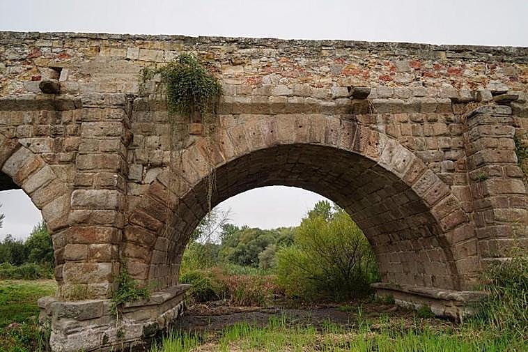 Una de las gárgolas del Puente Romano totalmente invadida por la vegetación.