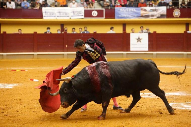 Imágenes de la corrida en Alba de Tormes